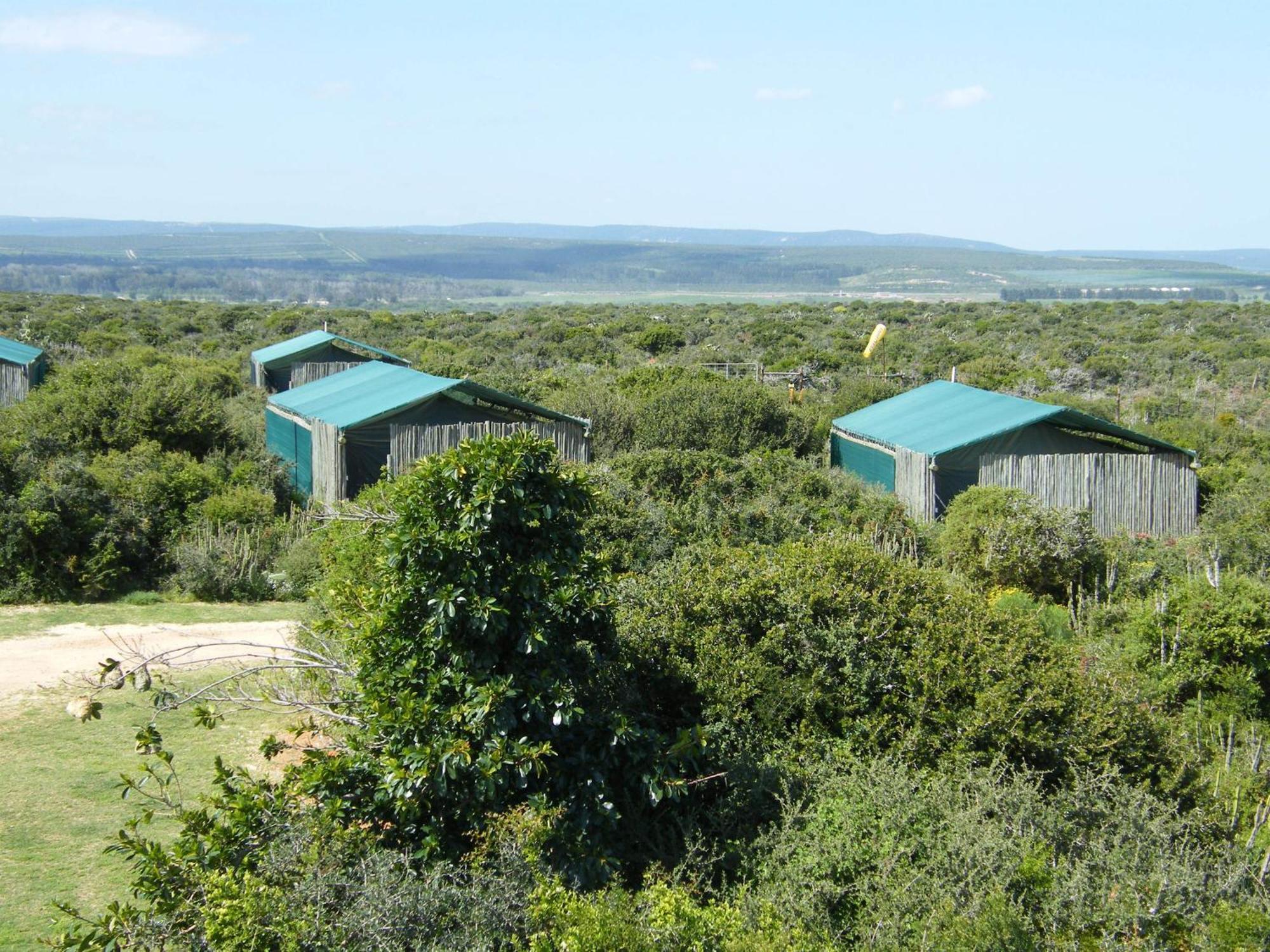 Kudu Ridge Game Lodge Addo Habitación foto