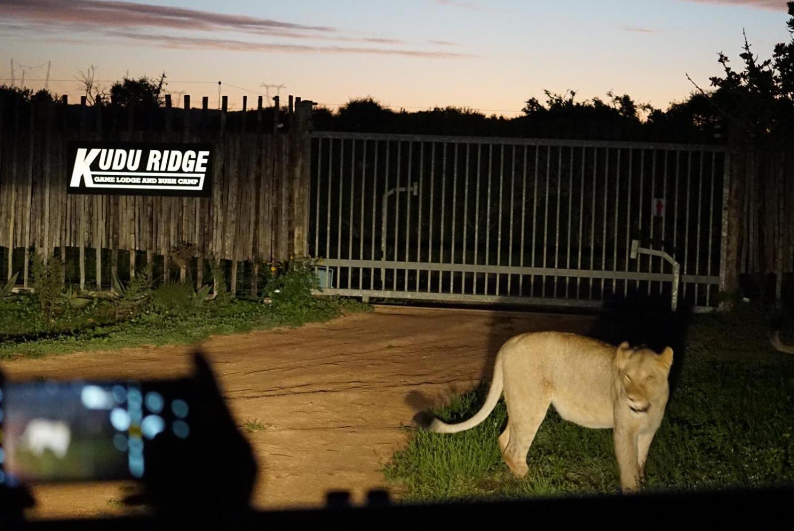 Kudu Ridge Game Lodge Addo Exterior foto